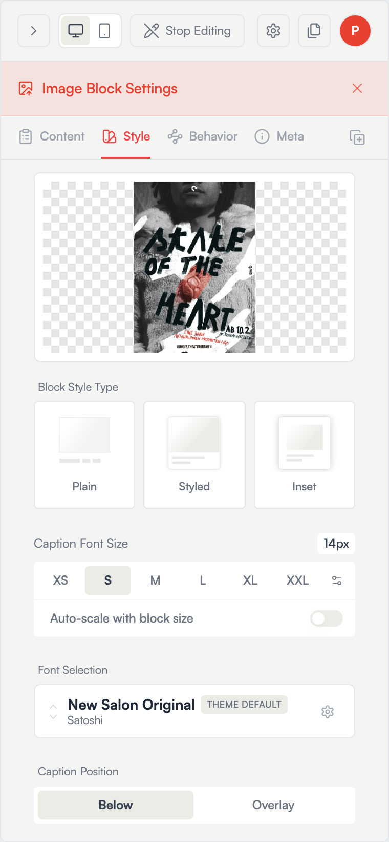 The image edit panel — Style tab